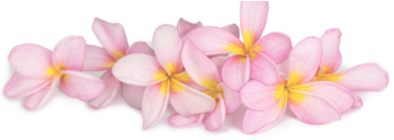 The Grief and Happiness Alliance